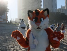 FurDU 2015