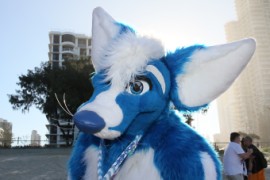 FurDU 2015