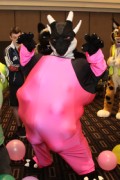 FurDU 2015