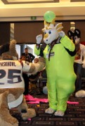 FurDU 2015