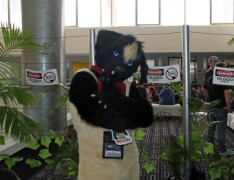 FurDU 2015