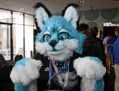 FurDU 2015