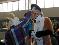 FurDU 2015