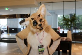 FurDU 2015