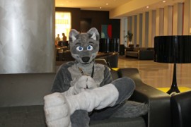 FurDU 2015