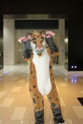 FurDU 2015