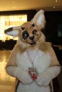 FurDU 2015