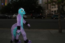 FurDU 2015