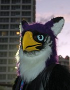 FurDU 2015