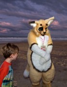 FurDU 2015