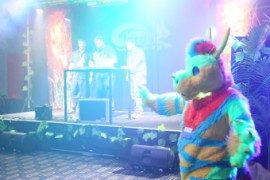 FurDU 2015