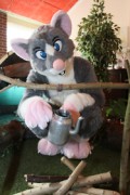 Furry Weekend Holland 2017