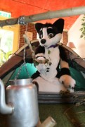 Furry Weekend Holland 2017