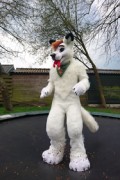 Furry Weekend Holland 2017