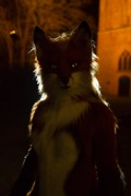 Furry Weekend Holland 2017