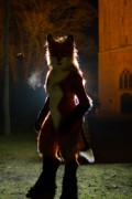 Furry Weekend Holland 2017