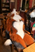 Furry Weekend Holland 2017