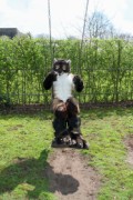 Furry Weekend Holland 2017