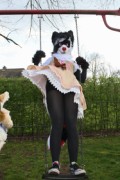 Furry Weekend Holland 2017