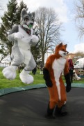 Furry Weekend Holland 2017