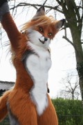 Furry Weekend Holland 2017