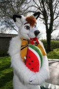 Furry Weekend Holland 2017