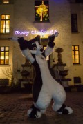 Furry Weekend Holland 2018