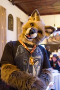 Furry Weekend Holland 2018