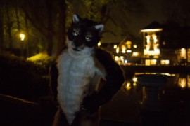 Furry Weekend Holland 2018