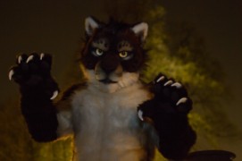 Furry Weekend Holland 2018