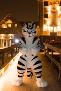 Furry Weekend Holland 2018