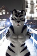 Furry Weekend Holland 2018