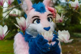 Furry Weekend Holland 2018