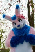 Furry Weekend Holland 2018