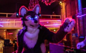 Furry Weekend Holland 2018