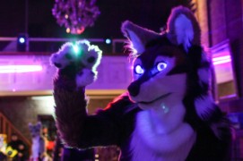 Furry Weekend Holland 2018