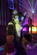 Furry Weekend Holland 2018