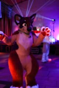 Furry Weekend Holland 2018