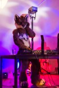 Furry Weekend Holland 2018