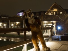 Furry Weekend Holland 2018