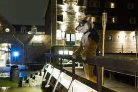 Furry Weekend Holland 2018