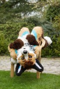 Furry Weekend Holland 2018