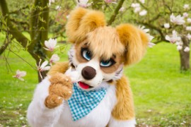 Furry Weekend Holland 2018