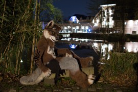 Furry Weekend Holland 2018