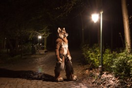 Furry Weekend Holland 2018