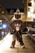 Furry Weekend Holland 2018