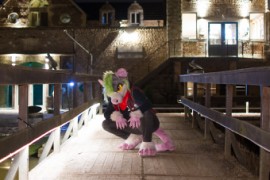 Furry Weekend Holland 2018