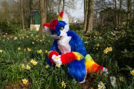 Furry Weekend Holland 2019