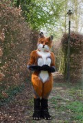 Furry Weekend Holland 2019