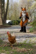 Furry Weekend Holland 2019